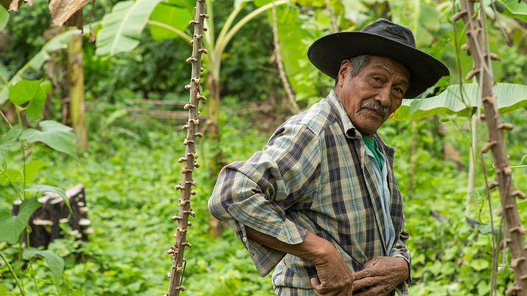 Medlem af Movima folket i Bolivia som Verdens Skove arbejder sammen med. 