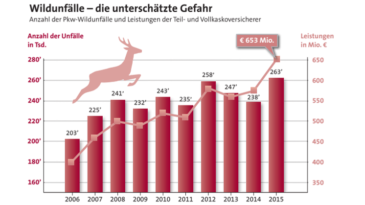 Versicherungswirtschaft: Wildunfälle erreichen Höchststand 