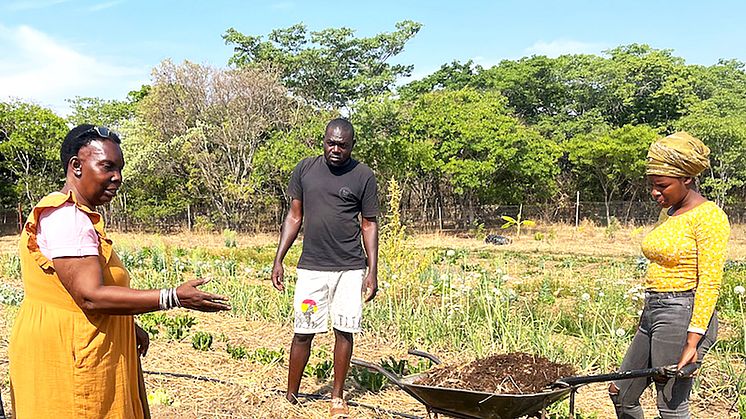 Conference for teachers of biodynamic farming in Zimbabwe (Kufunda Village), 2022 (Photo: Maaianne Knuth)