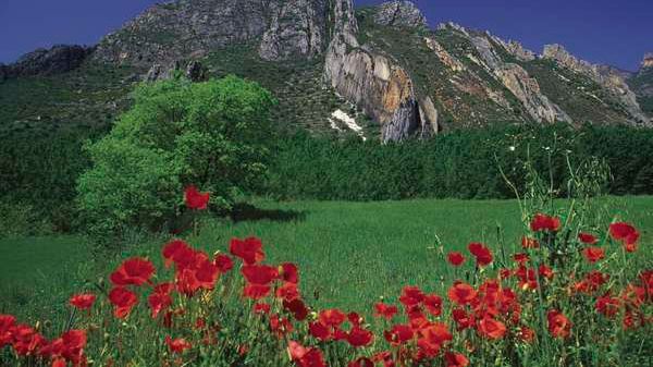 TERRES DE LLEIDA: Mountainbike-ruter  og bjergryggen Montsec