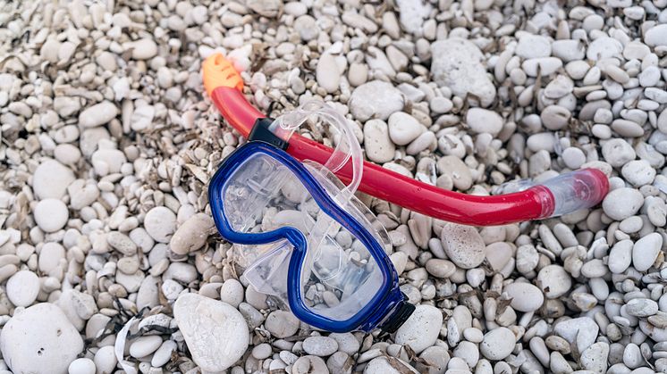 Snorkeläventyr i Halmstad. Foto: Armin Staudt.