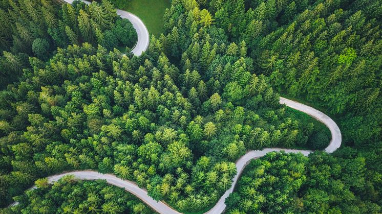 Kommentar zum Sofortprogramm mit Klimaschutzmaßnahmen für den Gebäudesektor