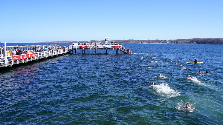 Mutig geht es bei einer Wassertemperatur von 5°C in die Kieler Förde.