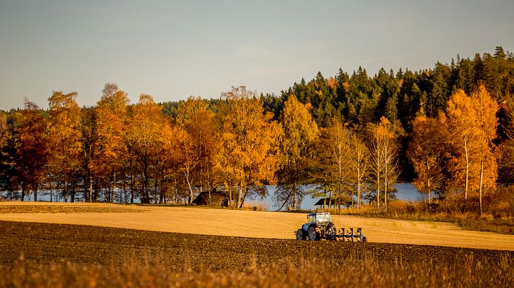 Nu bjuder vi in invånarna i Norrtälje kommun till dialogmöten för att stärka landsbygden och skärgården