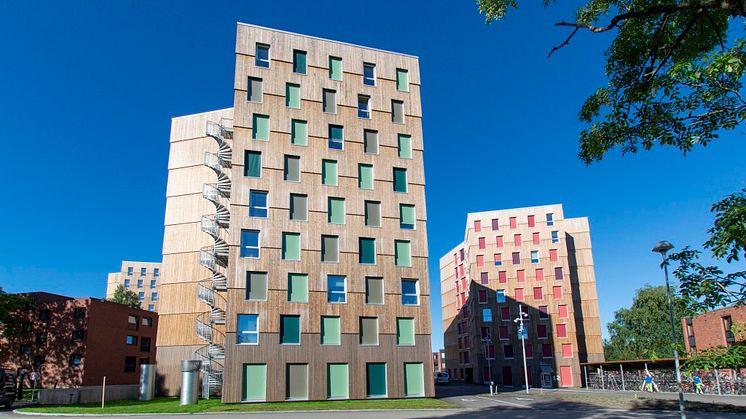 Moholt 50 | 50 Studentenwohnheim in Trondheim - Kebony Fassade