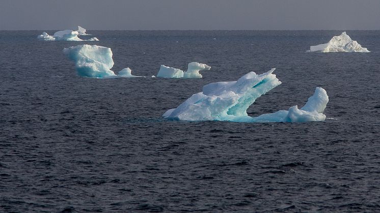 Östsibiriska havet.