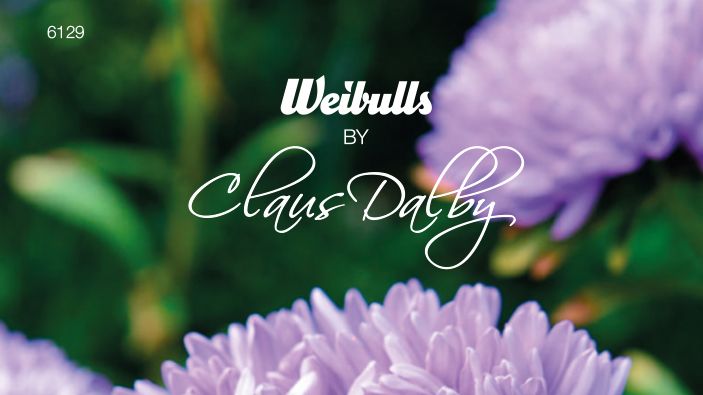 6129_weibulls_by_clausdalby_aster