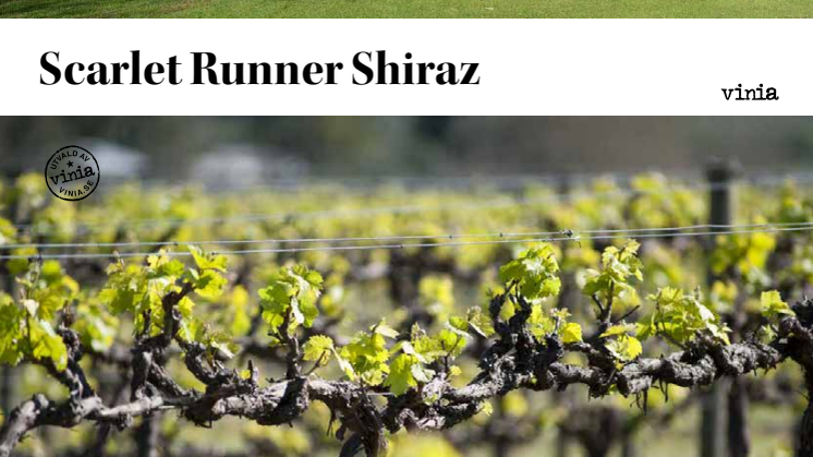 Redaktionell artikel Scarlet runner Shiraz