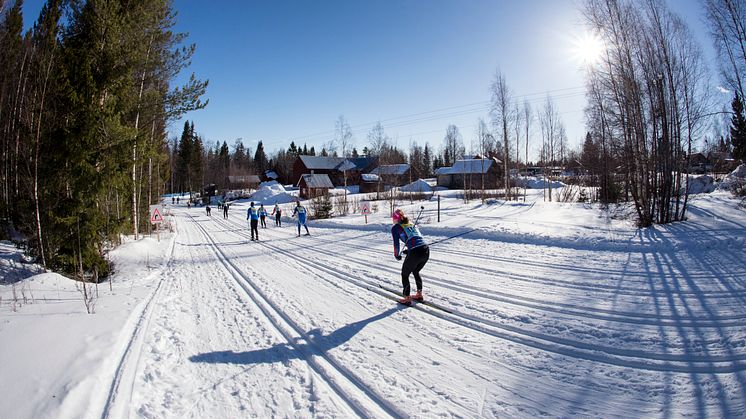 Fler skåningar än masar och kullor i Vasaloppet