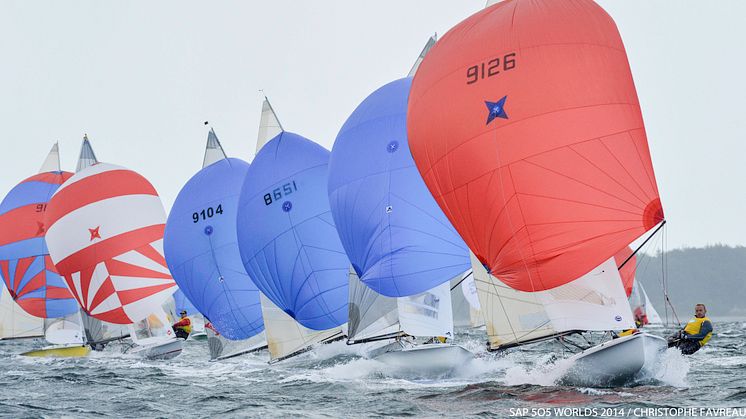 SAP 505 Worlds 2014 / Christophe Favreau