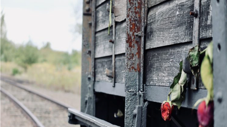 Den 27 januari samlas människor över hela världen i en årlig manifestation. Det är den internationella minnesdagen för Förintelsens offer. Samma datum som förintelselägret Auschwitz-Birkenau befriades 1945.