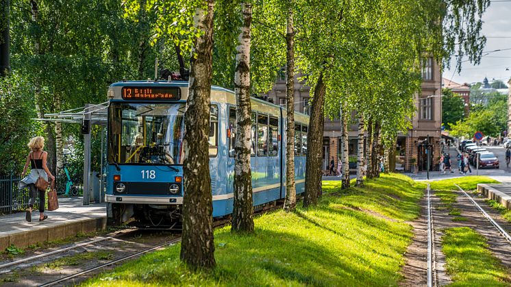 Redusert vanning av grøntanlegg sparer 200 tusen liter vann i uken. Foto: Sporveien/Stian Olsson