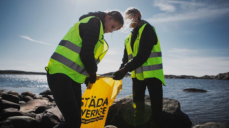 Under premiärhelgen kommer drygt 2 200 städande idrottsungdomar att städa bort uppemot 25 ton skräp längs kusten. 
