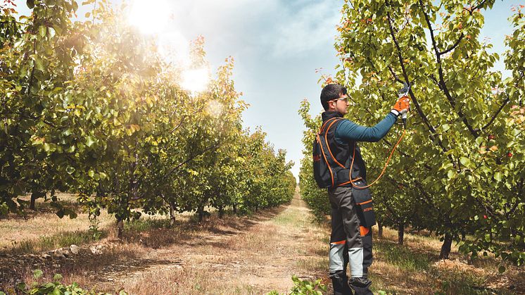 STIHL ASA 85 batteridrevet beskærersaks