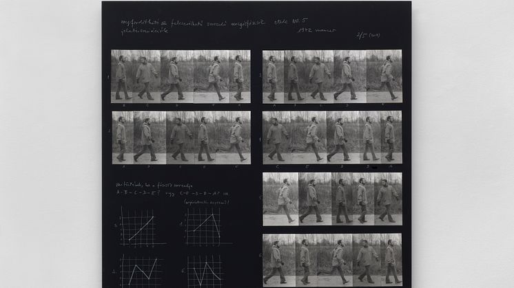 Dóra Maurer, Reversible and Changeable Phases of Movements 5 (1972).