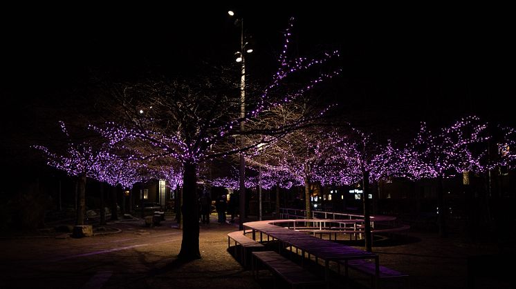 Vinterljusen pryder Furutorpsplatsen i Helsingborg