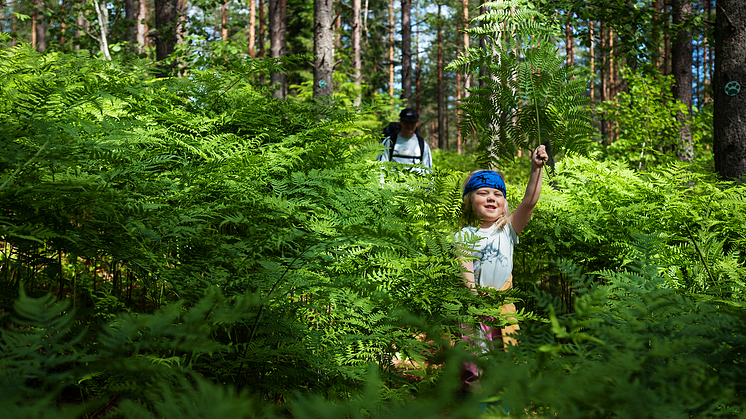 Onnellisuusmetsä