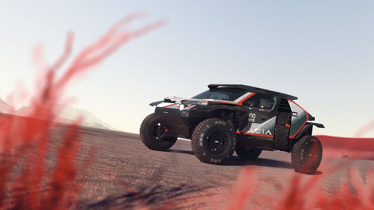 Sandrider indtager Dakar