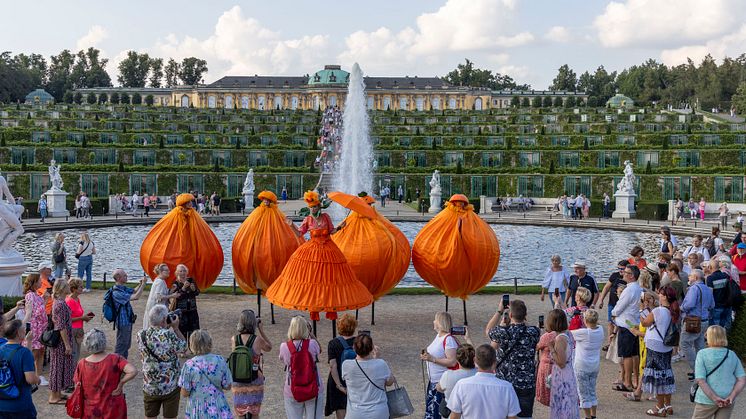 Art performance in front of Sanssouci Palace