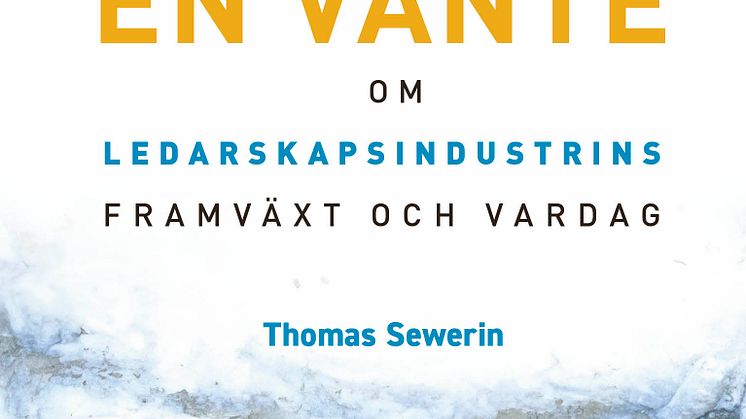 Försynen tappade en vante av Thomas Sewerin omslag.jpg