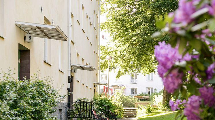 Fem ställen att undersöka på visningen