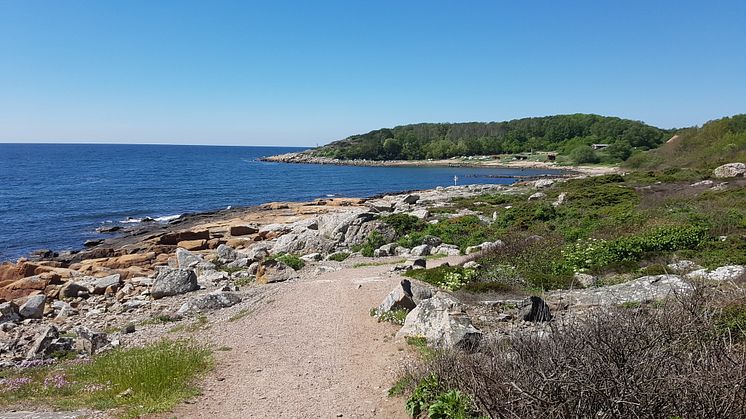 Prins Bertils Stig - en av flera populär vandringsleder i Halland.