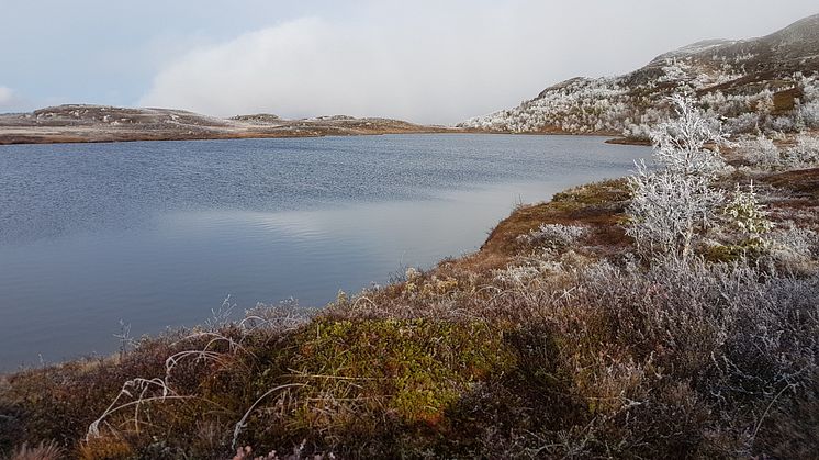 Lakes at high latitudes act as “reactors” or “chimneys” for carbon dioxide emission, Dirk Verheijen shows in his thesis defended at Umeå University, Sweden. Photo: Karl Heuchel