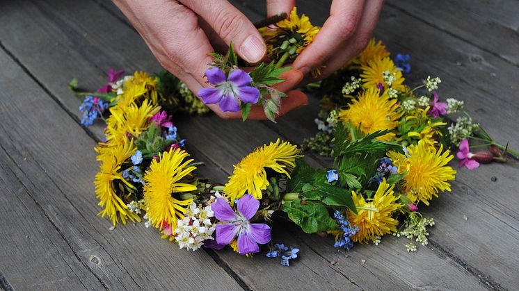 En midsommardröm på Fredriksdal museer och trädgårdar