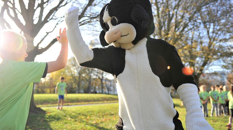 Skånemejeriers populära barnlopp Kalvinknatet fyller 20 år!