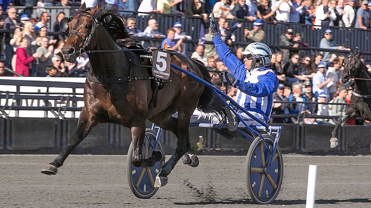 Stoletheshow är klar för Elitloppet 2023. Foto: TR Bild.