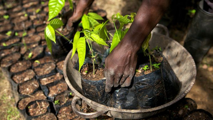 Mondelēz International to Invest $400 Million to Help One Million People in Cocoa Farming Communities