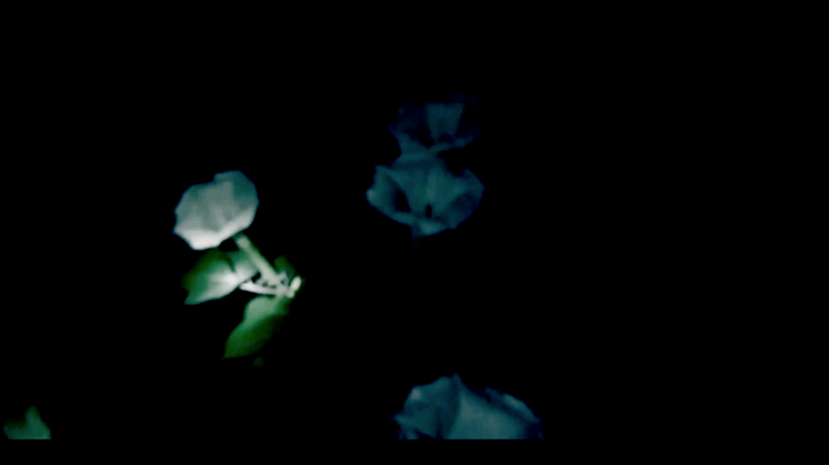 A poetic investigation of power – Ida Bergman's BFA exhibition at Konstfack 