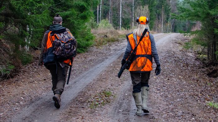 Lyckad vildsvinshelg med 900 jägare i Norrtäljeskogarna