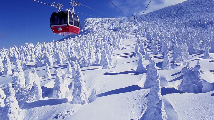 It’s all about SNOW!  Come and see Japan’s magical winter sceneries