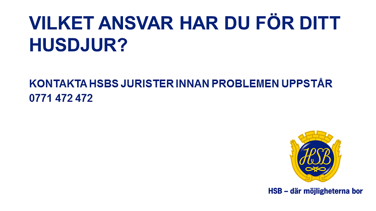 Vilket ansvar har du för ditt husdjur?