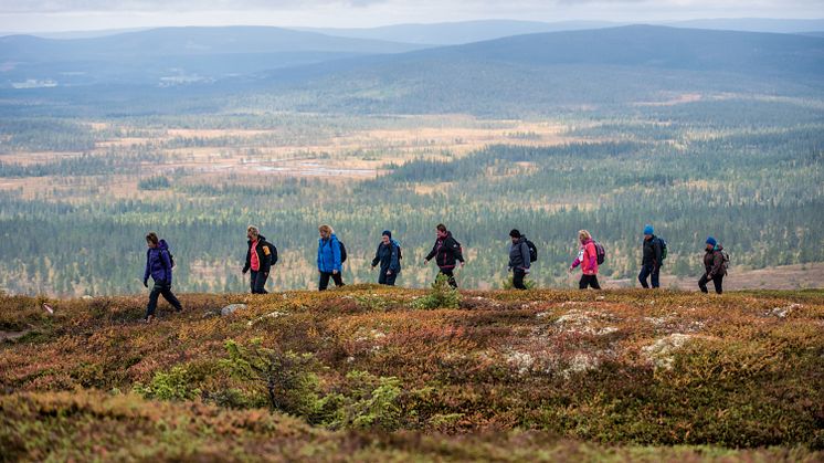 Vellykket rypeløp i Trysil