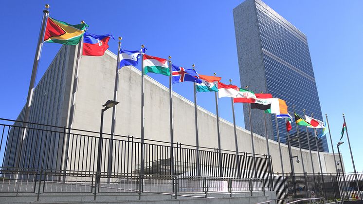 The United Nations