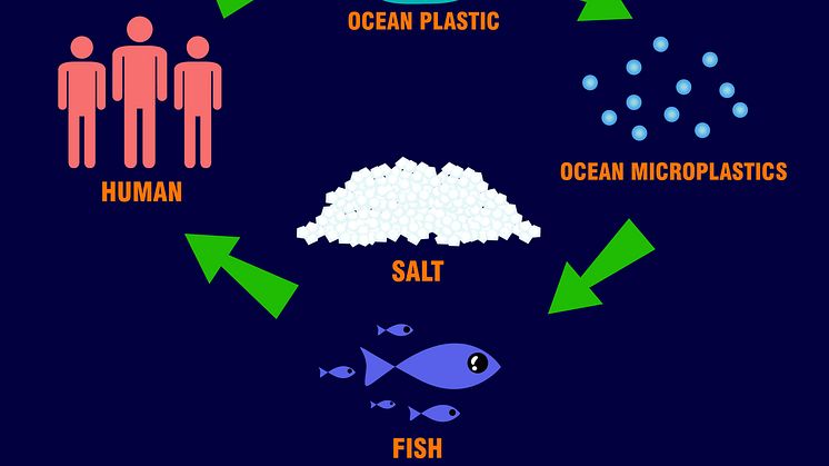 Microplastics ocean pollution cycle [Credit: Surachet99 _iStock ID:1060396196]