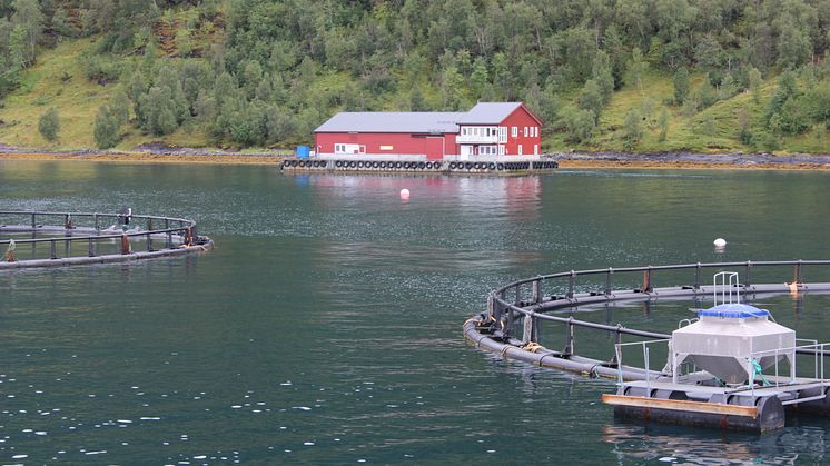 Oksøy site in Nordland (photo by Ander Furuseth/Intrafish.no)