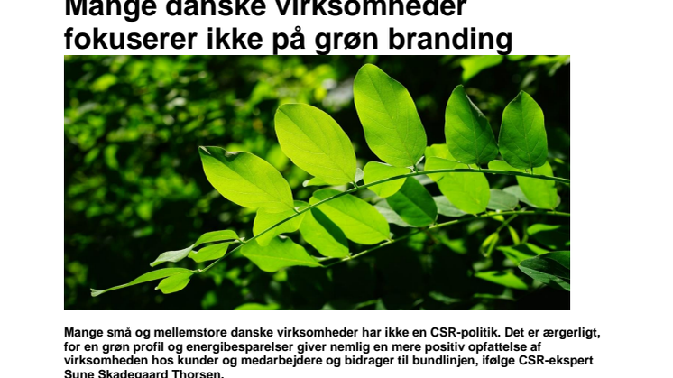 CSR-ekspert: Mange danske virksomheder fokuserer ikke på grøn branding