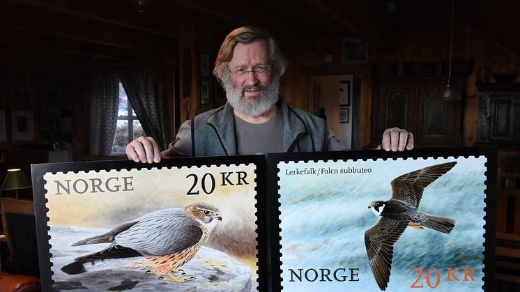 Viggo Ree viser fram frimerkene med falkemotiver fra hans akvareller. Foto: Birger Morken, Posten