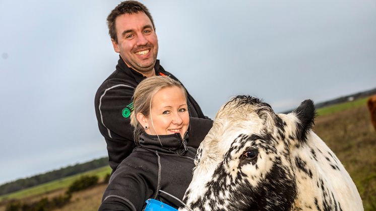 Lantbrukarparet Erik Levander och Maria Eriksson på Bols Gård i Havdhem på södra Gotland deltar i Smak av Gotlands projekt Fossilfritt kött.