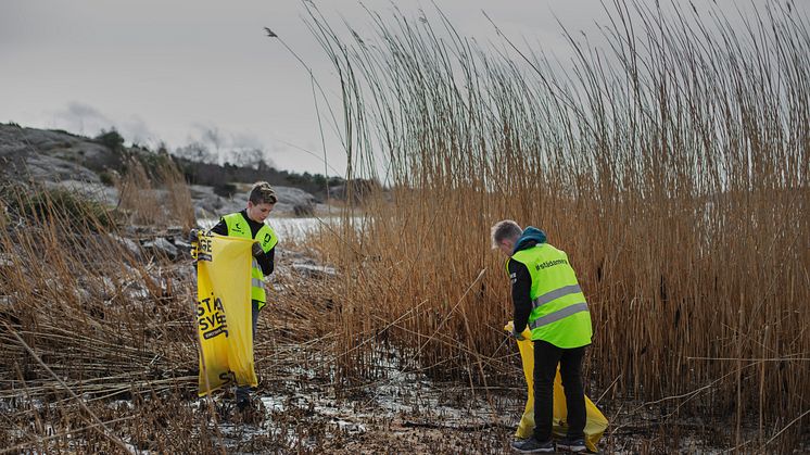 Årets Städa Kust startade i helgen. Foto: Petter Trens.