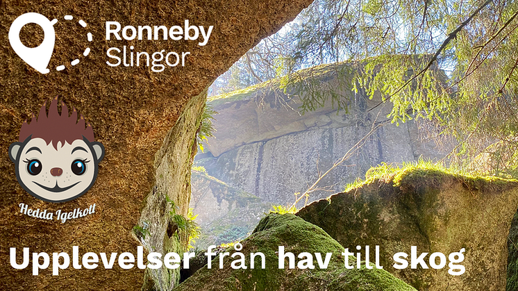 Premiär för RonnebySlingor – en unik satsning på friluftsliv och natur i Ronneby kommun 