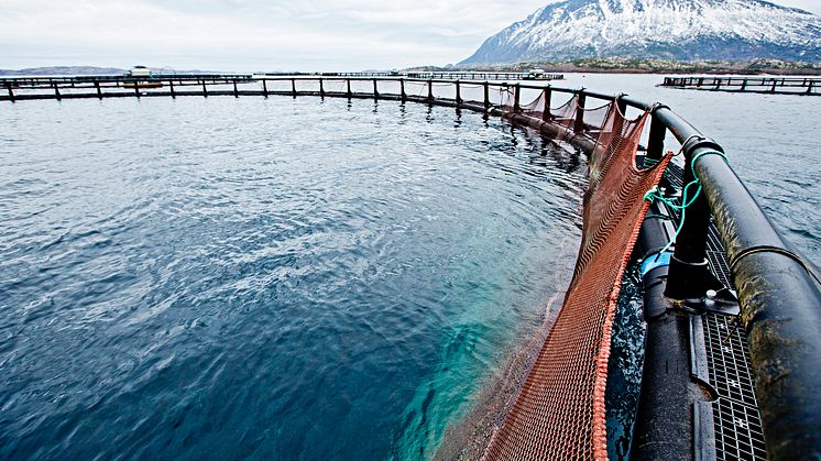 ​Åpenhet gir bedre løsninger