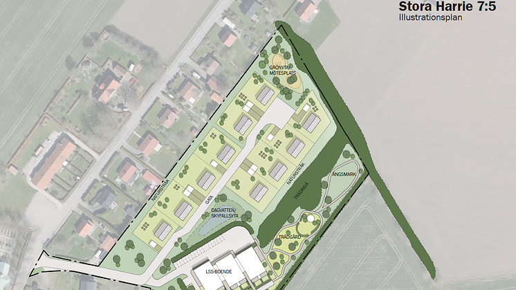 Illustrationsplan över området. Villorna placeras enligt förslaget närmast den befintliga bebyggelsen och LSS-boendet i söder. Bild: Liljewall arkitekter