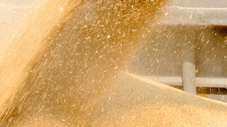 Mitigating Dust Disasters in Grain, Seed and Feed Handeling