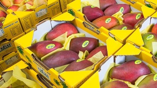 Lufthansa Cargo ist Aussteller auf der Fruit Logistica