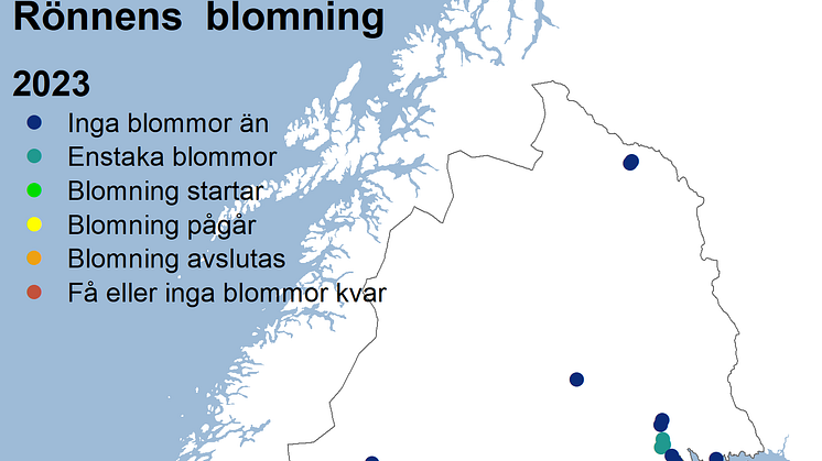 fsk_rönn2023_vit