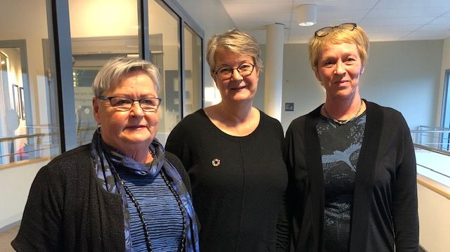 Eva Brink, Elisabeth Dahlborg Lyckhage och Åse Boman har alla arbetat med den nya forskarutbildningen.